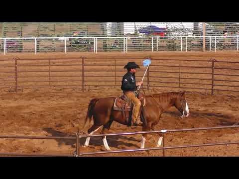Ranch Rodeo Colt Starting, Part 1 — Season 8 of Ridin’ Horses with Kerry Kuhn