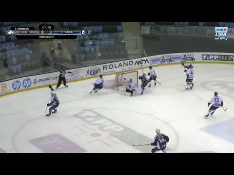 Best ice hockey goal celebration you ever seen !  Erste liga Hungary (MAC Budapest)