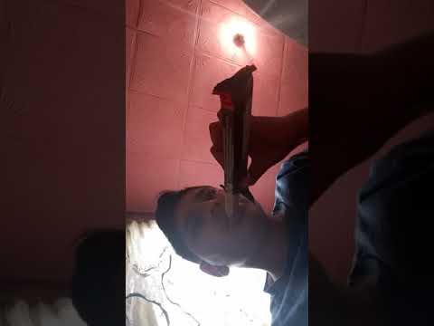 Dulciuri la un Leu primi vlog