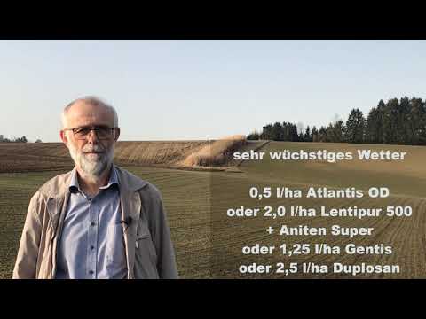 Unkrautbekämpfung in Wintergerste und Winterweizen