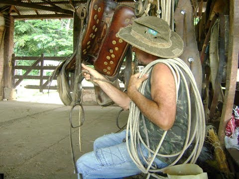 Laço do boi soberano - Araujoclips