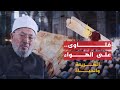 فتاوى مباشرة (2010)