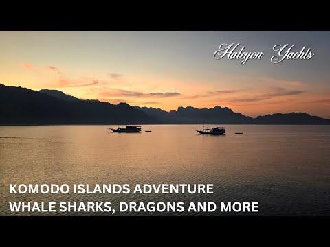 Komodo Islands Cruise -  4 days of sailing from Lombok to Flores
