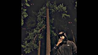Demon Maggz Music Video