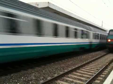 Fate largo passa la tartaruga!!