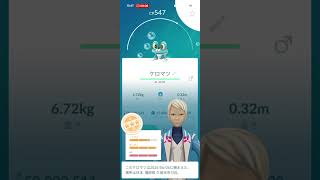 ２６年度　毎日貰える御三家のみ孵化する✨１㌔青たまごを１年間わり続けたら色違い&１００％がどれだけ産まれるかを検証実験（ケロマツ）：１５７個目：累計②③④個　　　　　　　　　　　　撮影日（６／６）