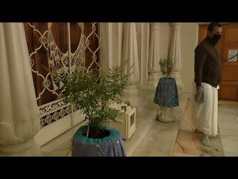 Sringara Arati - Thursday 25 February 2021 - 7:00am - 7.30am