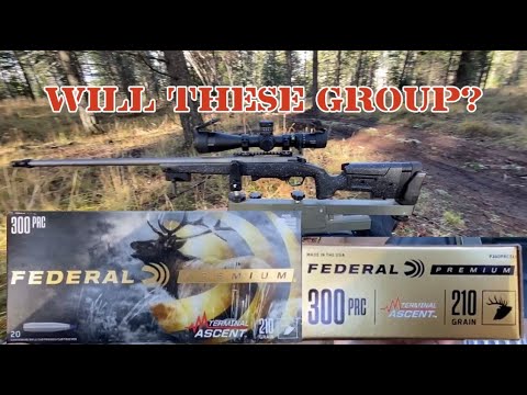 308 Winchester Federal Terminal Ascent Ballistics Gel Ammo Test