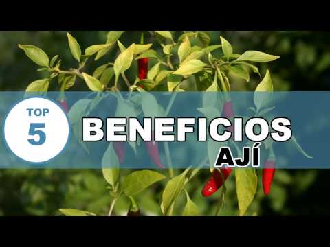 Ají : Beneficio y Propiedades Curativas del Ají para la Salud