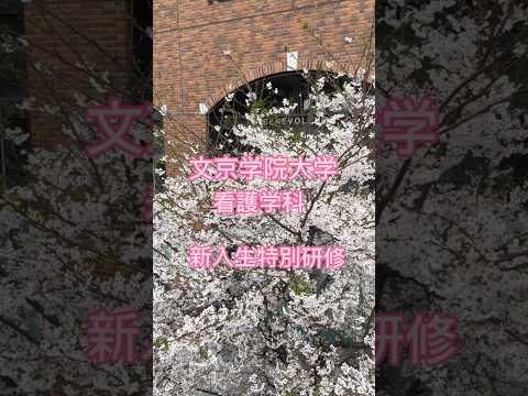 経営学科 看護学科 新入生特別研修🌸 #文京学院大学 #bgu #大学受験 #看護師 #保健師 #看護学生