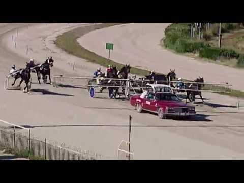 Aversa trotto 27 Maggio 2020 - 5° Corsa