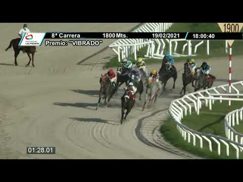 210219 c08 - NUMISMATICO - HIPODROMO LAS PIEDRAS