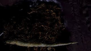 [録画声なし]　初見・リマスター版DARK SOULS -人間性１7こめ -