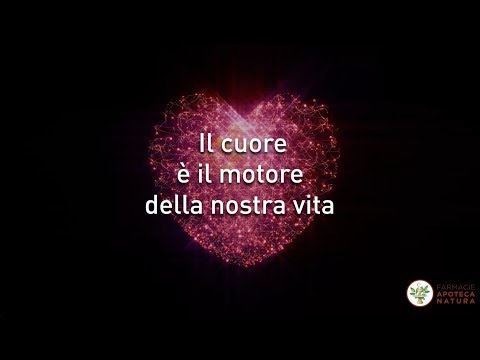Il cuore è il motore della nostra vita - Campagna di Prevenzione Cardiovascolare 2017