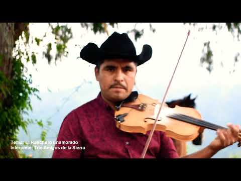 El Ranchero Enamorado//Trío Amigos de la Sierra (Vídeo Oficial)//SUSCRÍBETE