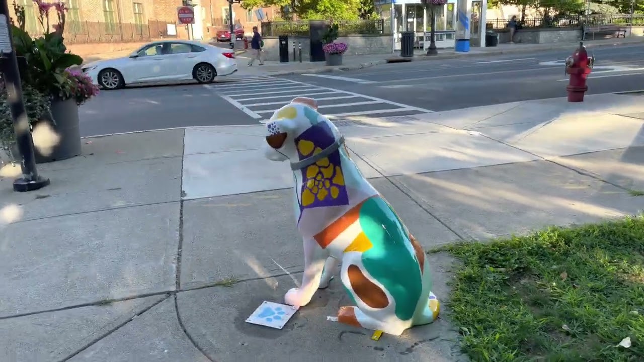 Immersive street-level walking tour through Albany, NY, United States, showcasing authentic urban landscapes, local architecture, and the vibrant atmosphere of the city's neighborhoods