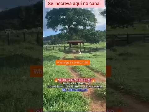 Sítio com mais de 12 alqueires em Santa Tereza GO #brasil #goias #santatereza #gado #agricultura