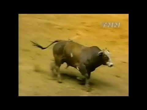 Freckles bucks Clint Green - 00 PBR Ft. Worth