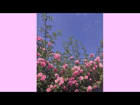 [FREE] MAYOT x GONE.Fludd Type Beat - "Chill" (prod. sarco)