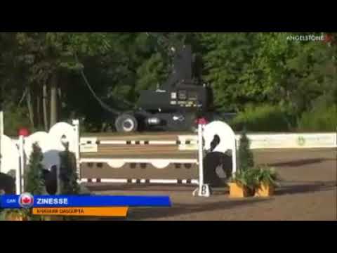 Zinesse 2017 Angelstone International Grand Prix