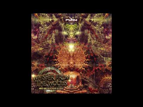 Whispers From The Woods (Mixed and selection by Dj coco) 2017