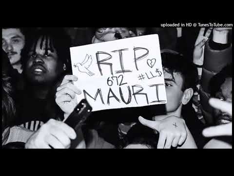 Prince Jefe x Canada Goose