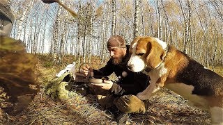 Накануне ребята решили пойти ли завтра на рыбалку или в лес по грибы