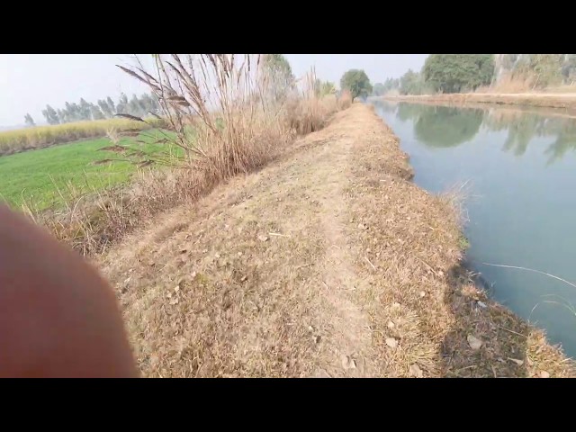 Video pronuncia di Warsak in Inglese