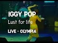 Iggy Pop - Lust for life (Olympia) 