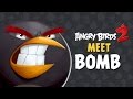 Angry Birds 2 Rovio Entertainment Ltd