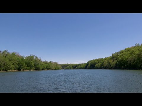 Stoney Creek Bluegrass Band - I Wish I Had A Lifeline (Official Music Video)