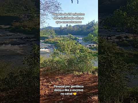 Tomazina PR