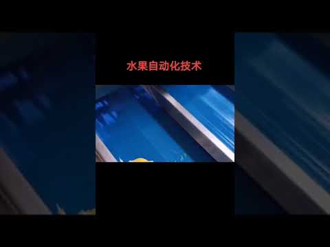 水果自動化加工技術！感受人類智慧的強大#食品機械 #自動化 #分揀線#機械