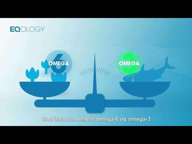 Omega 3 Test DK