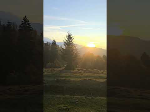 This is Untamed Romania! #betterthanswitzerland