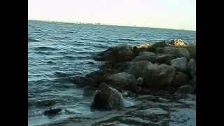 preview picture of video 'Kelly Park - Merritt Island, Florida'