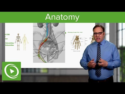 How to Master Human Anatomy 🧠📚 – Course Preview | Lecturio