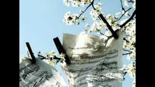 Sébastien Tellier - Clair de Lune