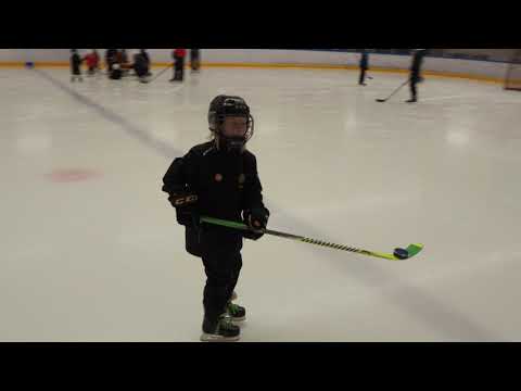 Ilmaveivi #zorro #kowaltsuk #ilves