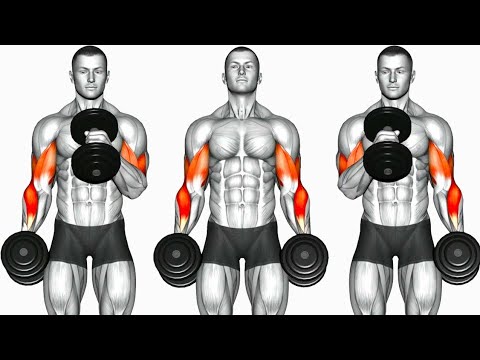 Biceps Workout 6 Best Exercises to build Strong Bicep