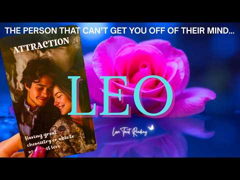 🩷 LÖWE, DU HAST SIE ZUM NACHDENKEN GEBRACHT! JETZT KOMMEN SIE ZURÜCK, UM ES DIR ZU ERZÄHLEN! ICH ...