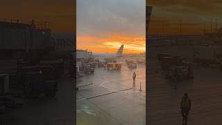 Vlogmas Day 8,9,…16 | I was sick but I’m back stronger💪 Here is my little Christmas spirit🎄