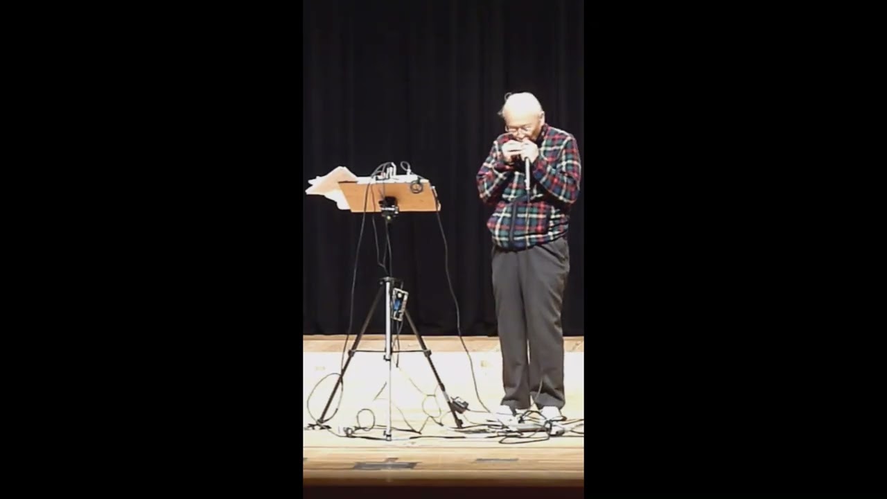 Imagin short1/ BluesHarp Harmonica