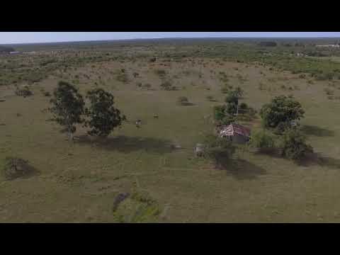 Venta 25 Has. en Mercedes - Corrientes