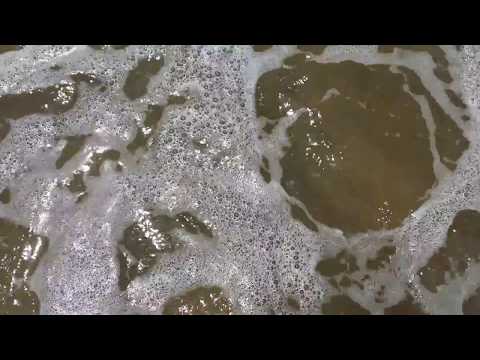 Lonely bay in Northland of New Zealand