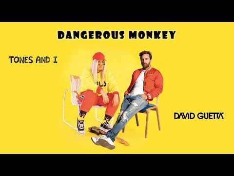 Tones And I vs David Guetta - Dangerous Monkey (DJ Dumpz Mashup)