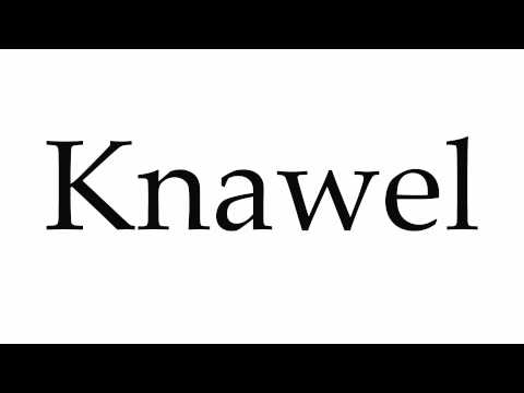 How to Pronounce Knawel