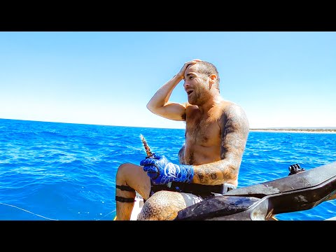 Worlds First Catch And Cook Speedrun - Ep 252