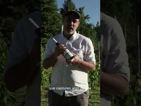 Explorar una zona y hacer un vermú