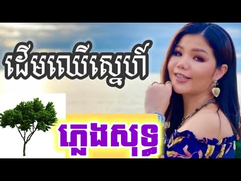 ដើមឈើស្នេហ៍ ភ្លេងសុទ្ធ មាសសុខសោភា